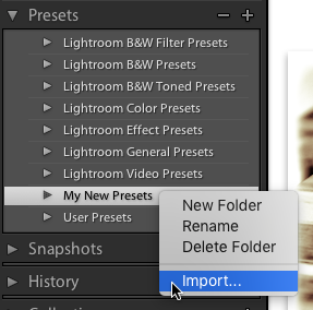 importing presets screenshot