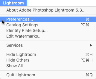 Preferences menu to install Lightroom presets