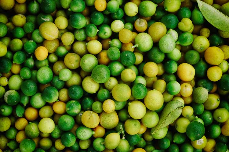 unedited limes unedited limes