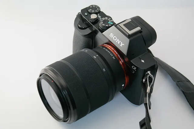 Mirrorless Camera