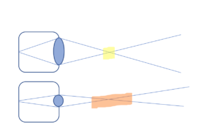 Dof Diagram
