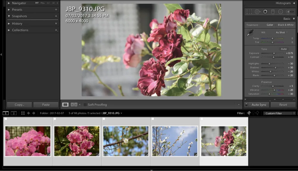 Lr select multiple photos