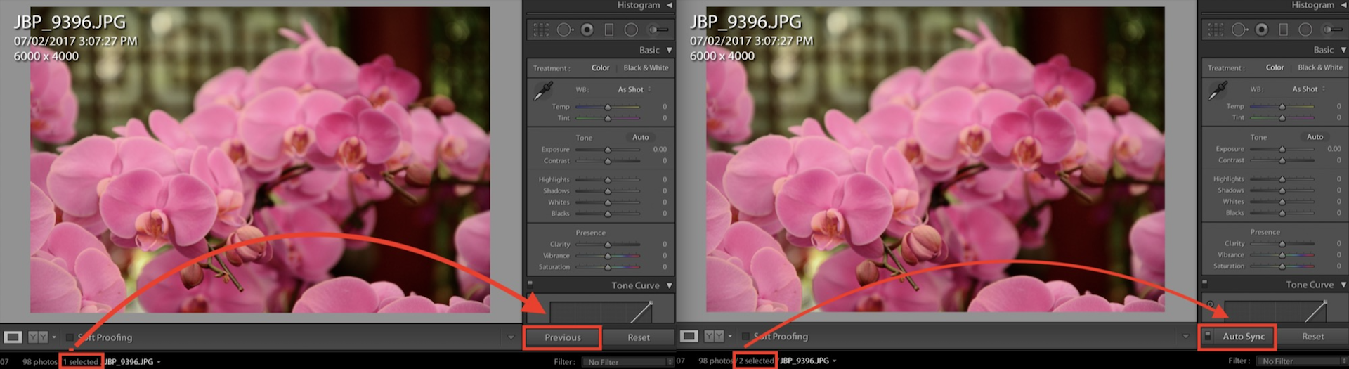 Auto sync previous lightroom